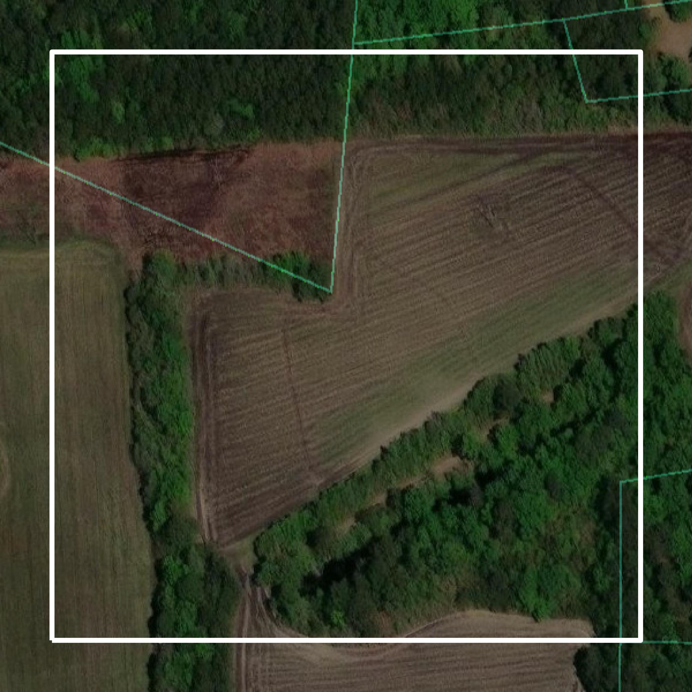 This image shows parcel and building data in Williamsburg County created using GIS data in Equator.