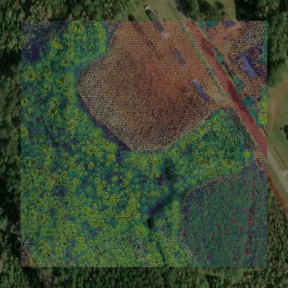 This image shows a LiDAR point cloud in Williamsburg County created using GIS data in Equator.
