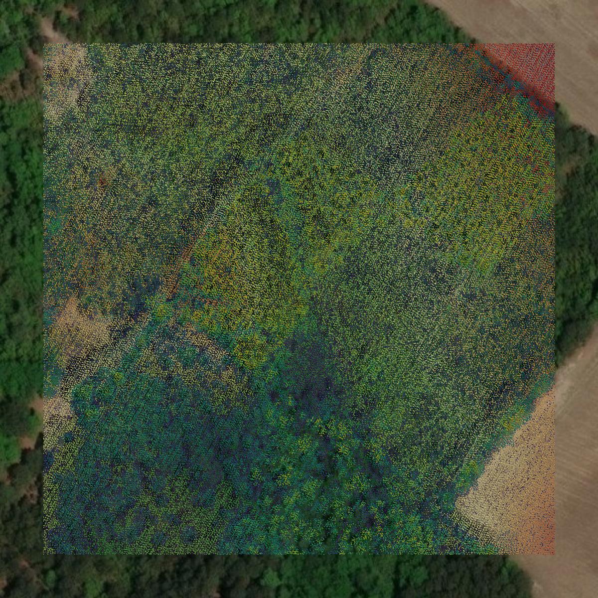 This image shows a LiDAR point cloud in Williamsburg County created using GIS data in Equator.