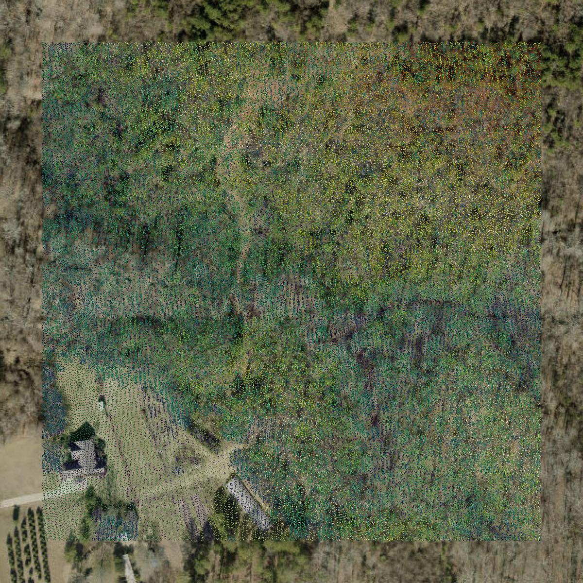 This image shows a LiDAR point cloud in York County created using GIS data in Equator.