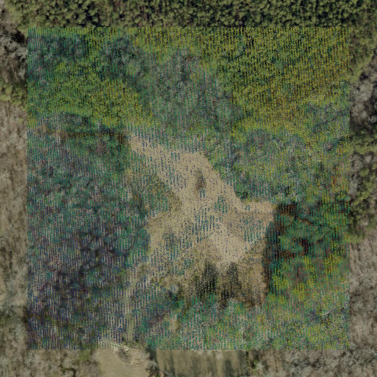 This image shows a LiDAR point cloud in York County created using GIS data in Equator.