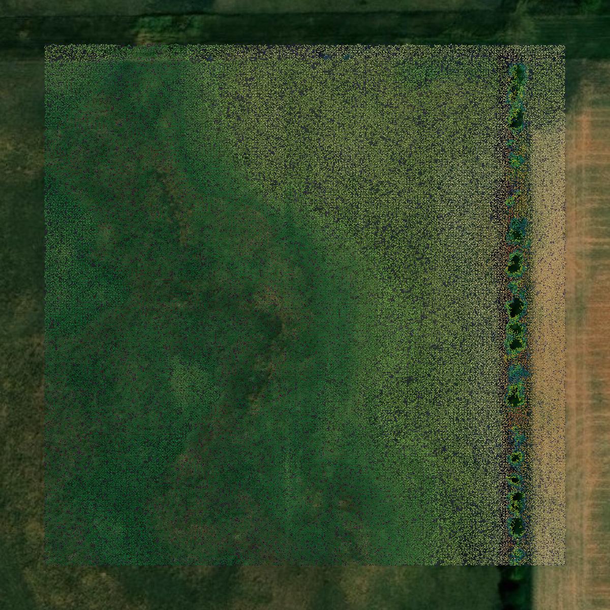 This image shows a LiDAR point cloud in Aurora County created using GIS data in Equator.