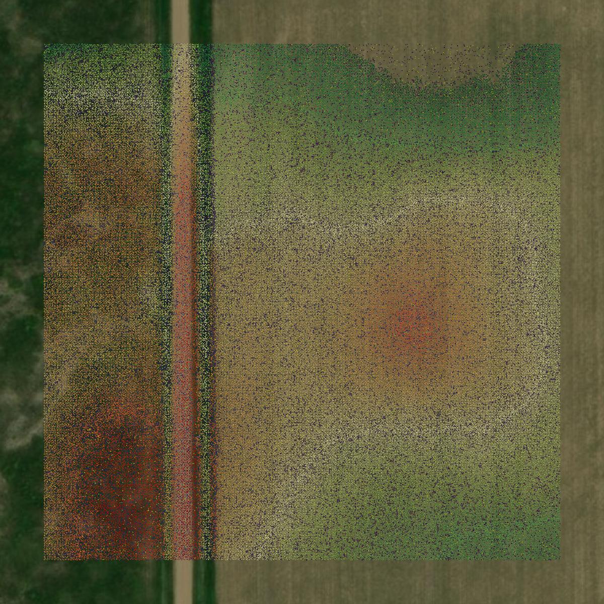 This image shows a LiDAR point cloud in Aurora County created using GIS data in Equator.