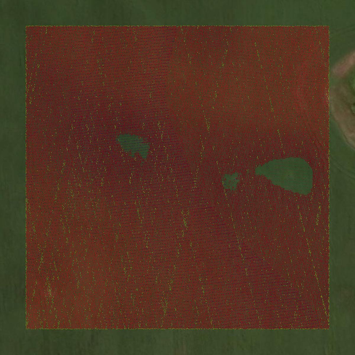 This image shows a LiDAR point cloud in Beadle County created using GIS data in Equator.