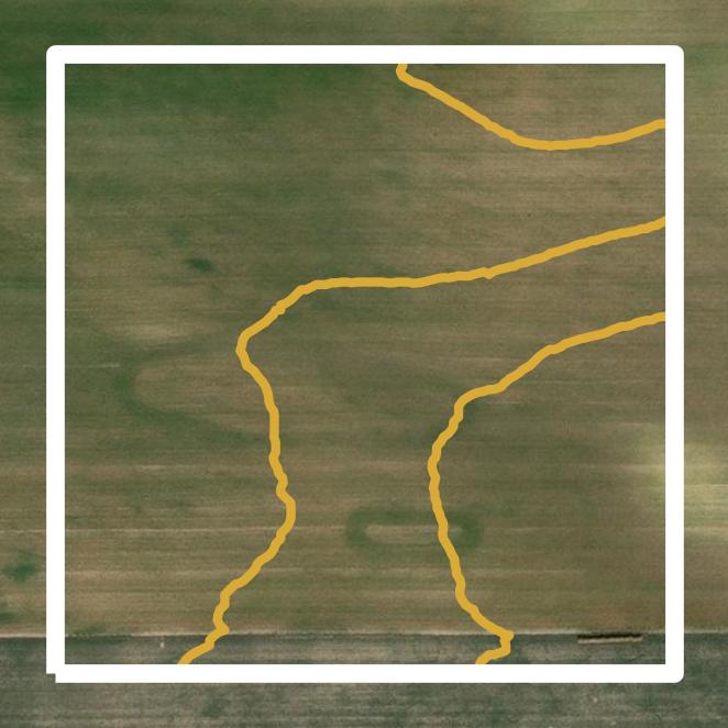 This image shows a contour map in Bennett County created using GIS data in Equator.