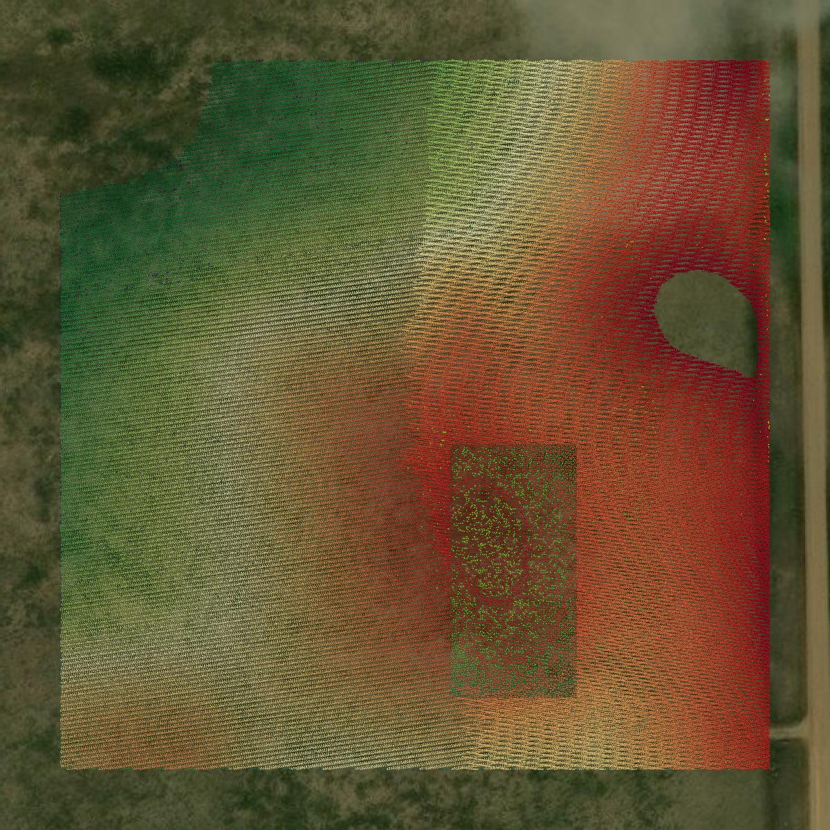 This image shows a LiDAR point cloud in Bon Homme County created using GIS data in Equator.