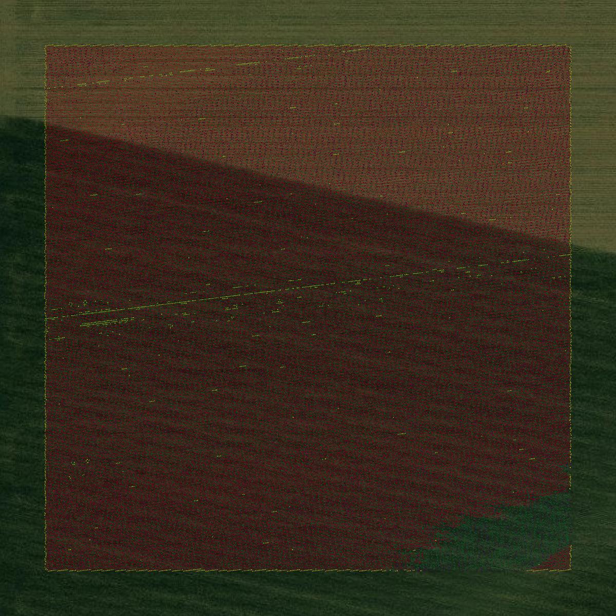 This image shows a LiDAR point cloud in Clay County created using GIS data in Equator.