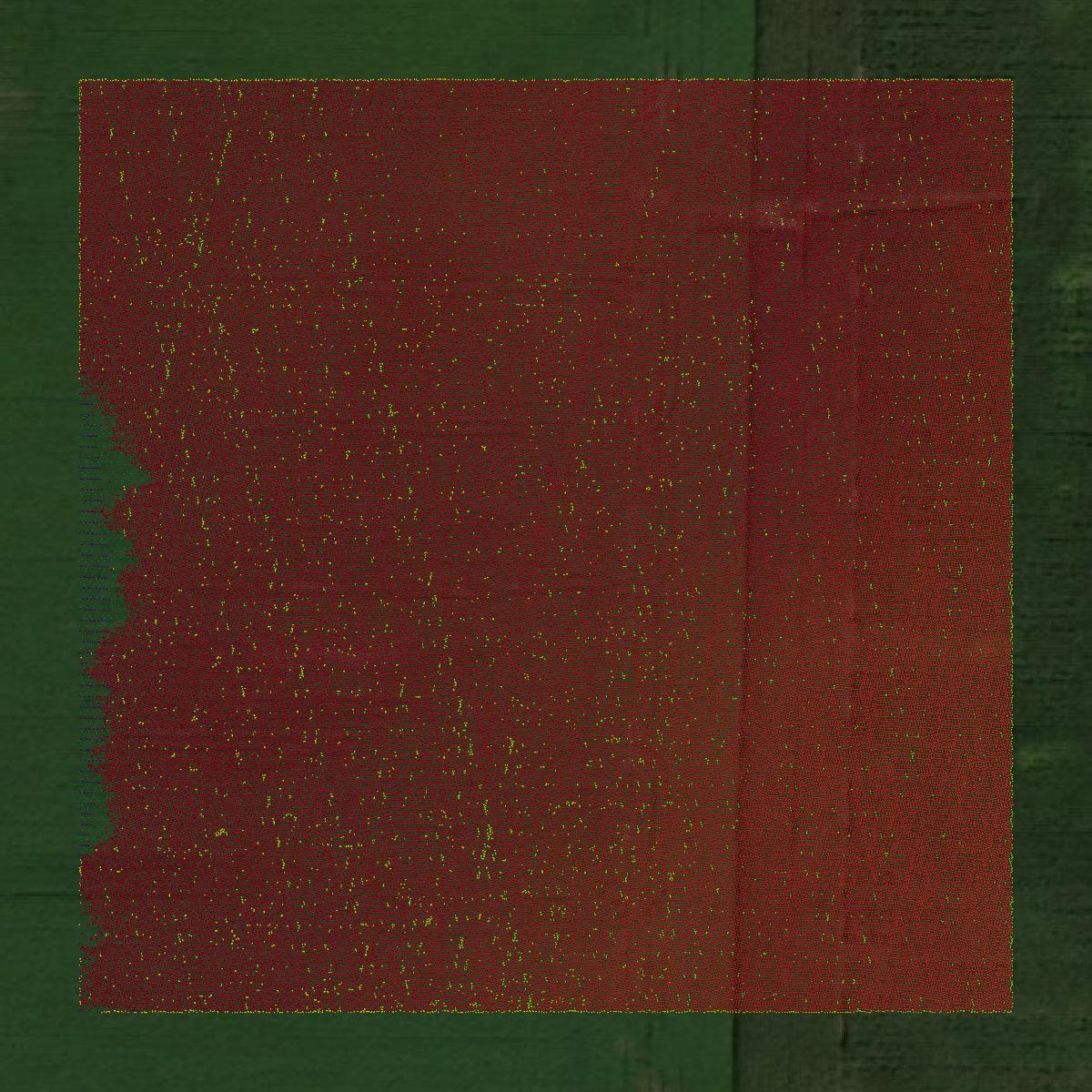 This image shows a LiDAR point cloud in Codington County created using GIS data in Equator.