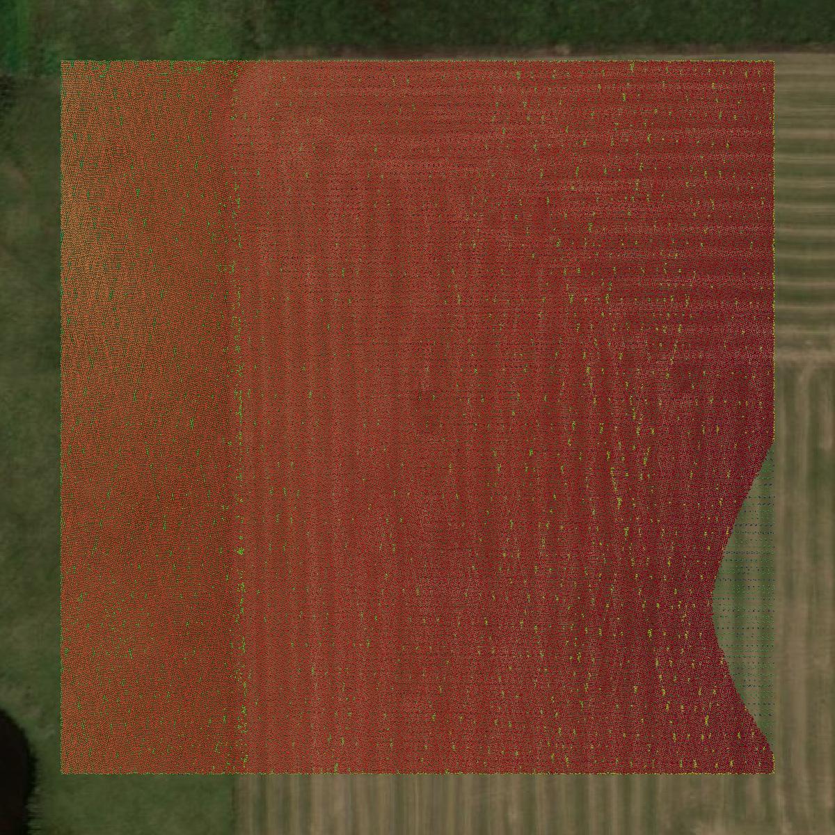 This image shows a LiDAR point cloud in Codington County created using GIS data in Equator.