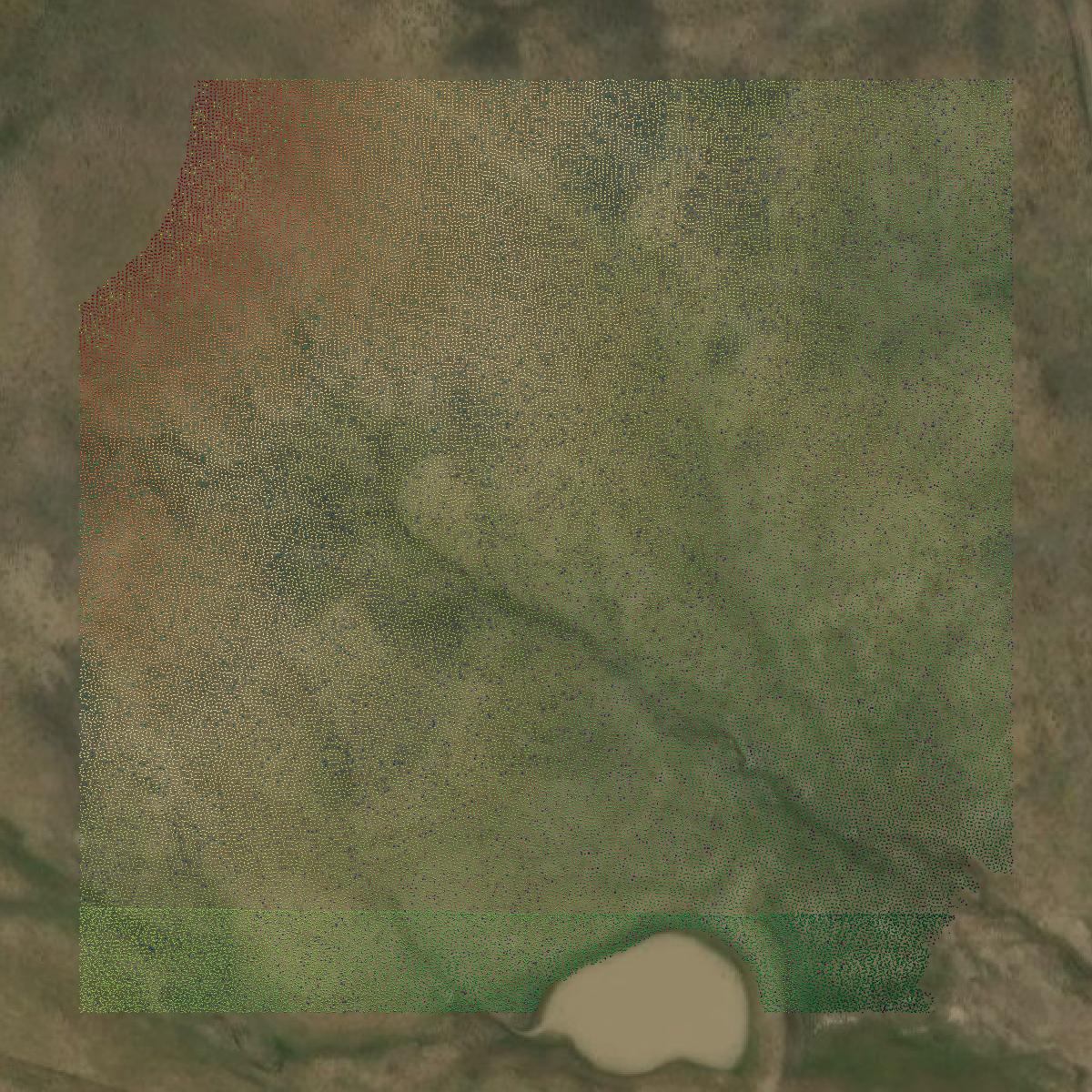 This image shows a LiDAR point cloud in Custer County created using GIS data in Equator.