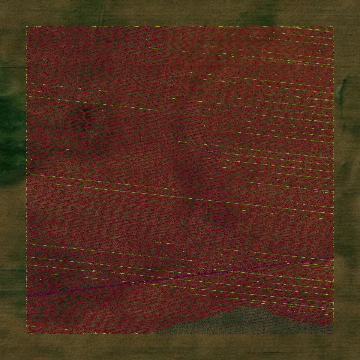 This image shows a LiDAR point cloud in Davison County created using GIS data in Equator.