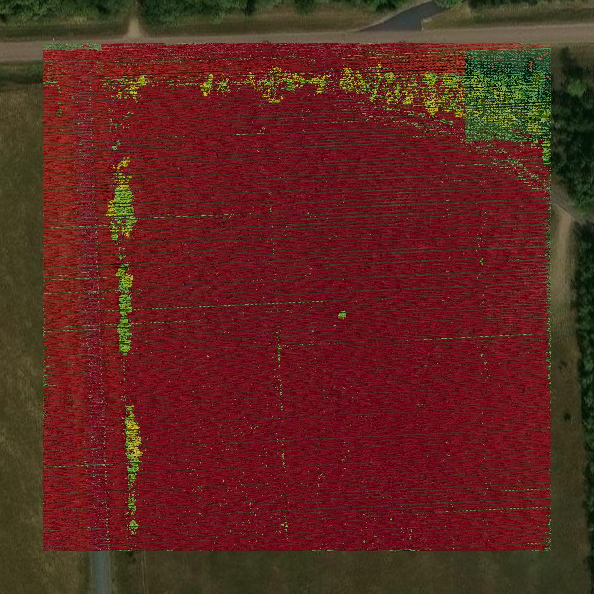 This image shows a LiDAR point cloud in Davison County created using GIS data in Equator.