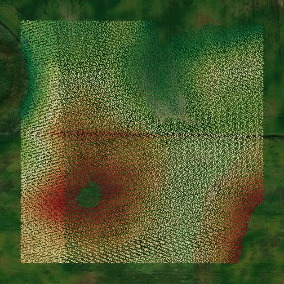 This image shows a LiDAR point cloud in Douglas County created using GIS data in Equator.