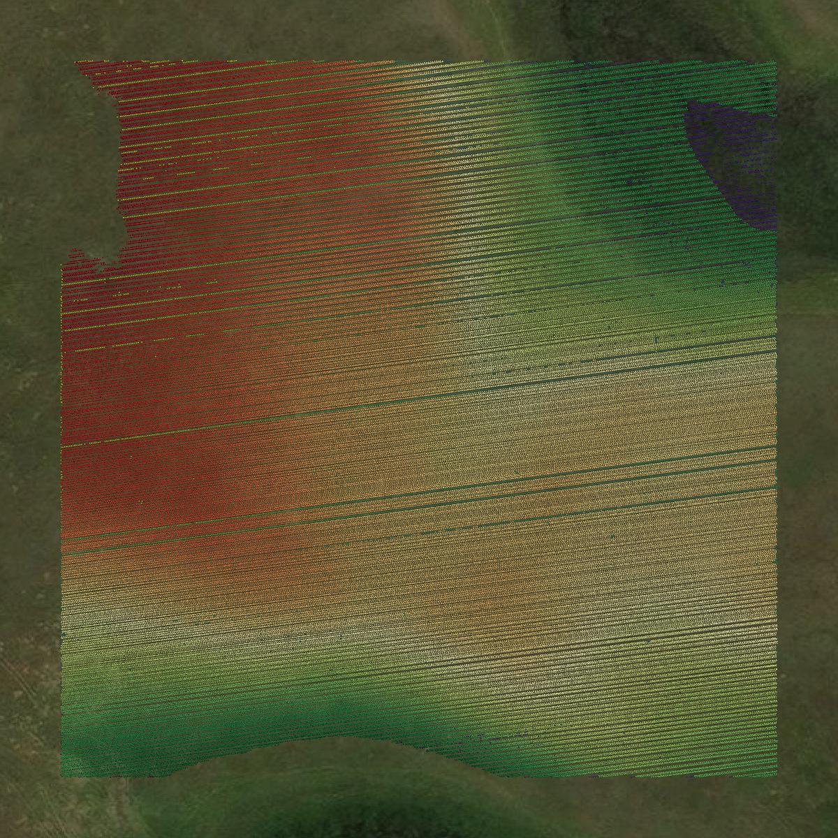 This image shows a LiDAR point cloud in Edmunds County created using GIS data in Equator.