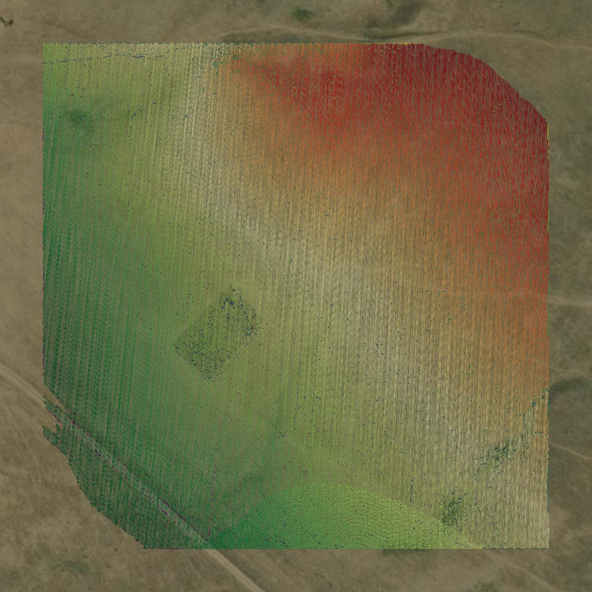 This image shows a LiDAR point cloud in Fall River County created using GIS data in Equator.