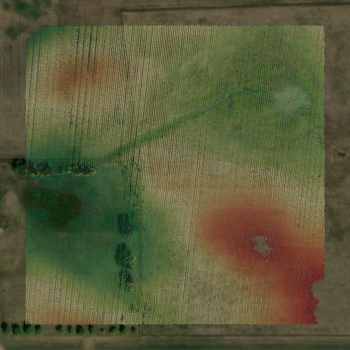 This image shows a LiDAR point cloud in Faulk County created using GIS data in Equator.