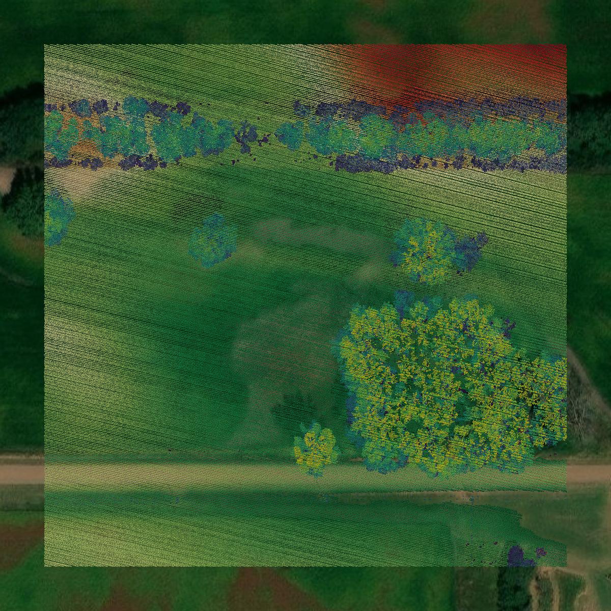 This image shows a LiDAR point cloud in Gregory County created using GIS data in Equator.