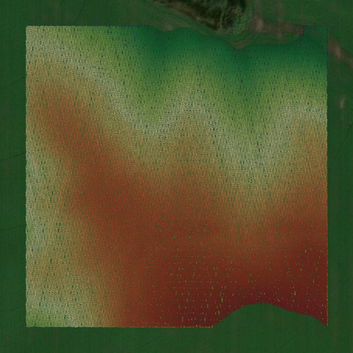 This image shows a LiDAR point cloud in Hamlin County created using GIS data in Equator.