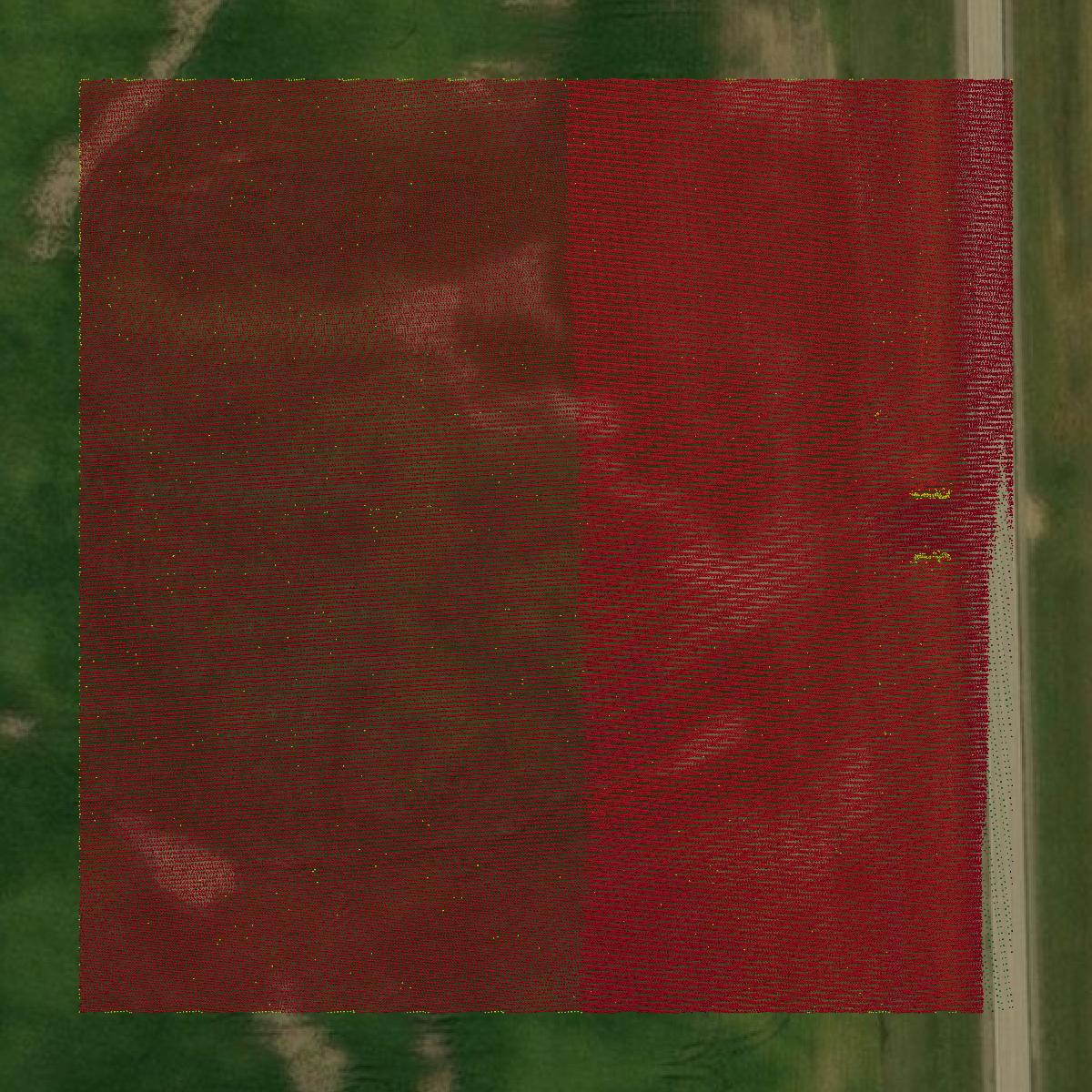This image shows a LiDAR point cloud in Hutchinson County created using GIS data in Equator.