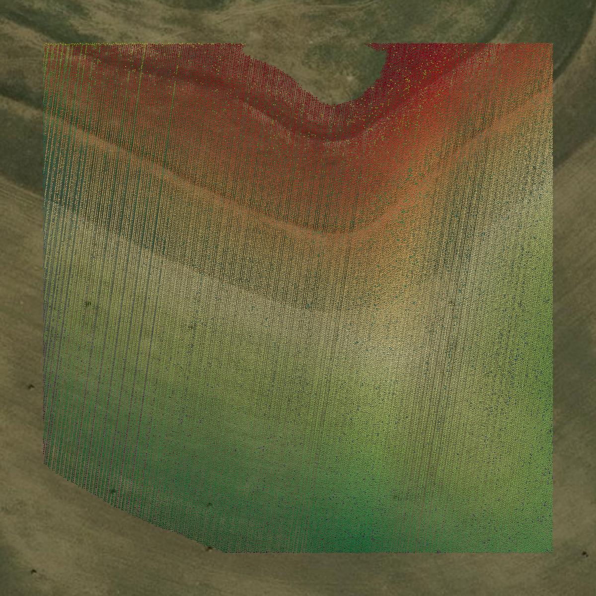 This image shows a LiDAR point cloud in Jackson County created using GIS data in Equator.