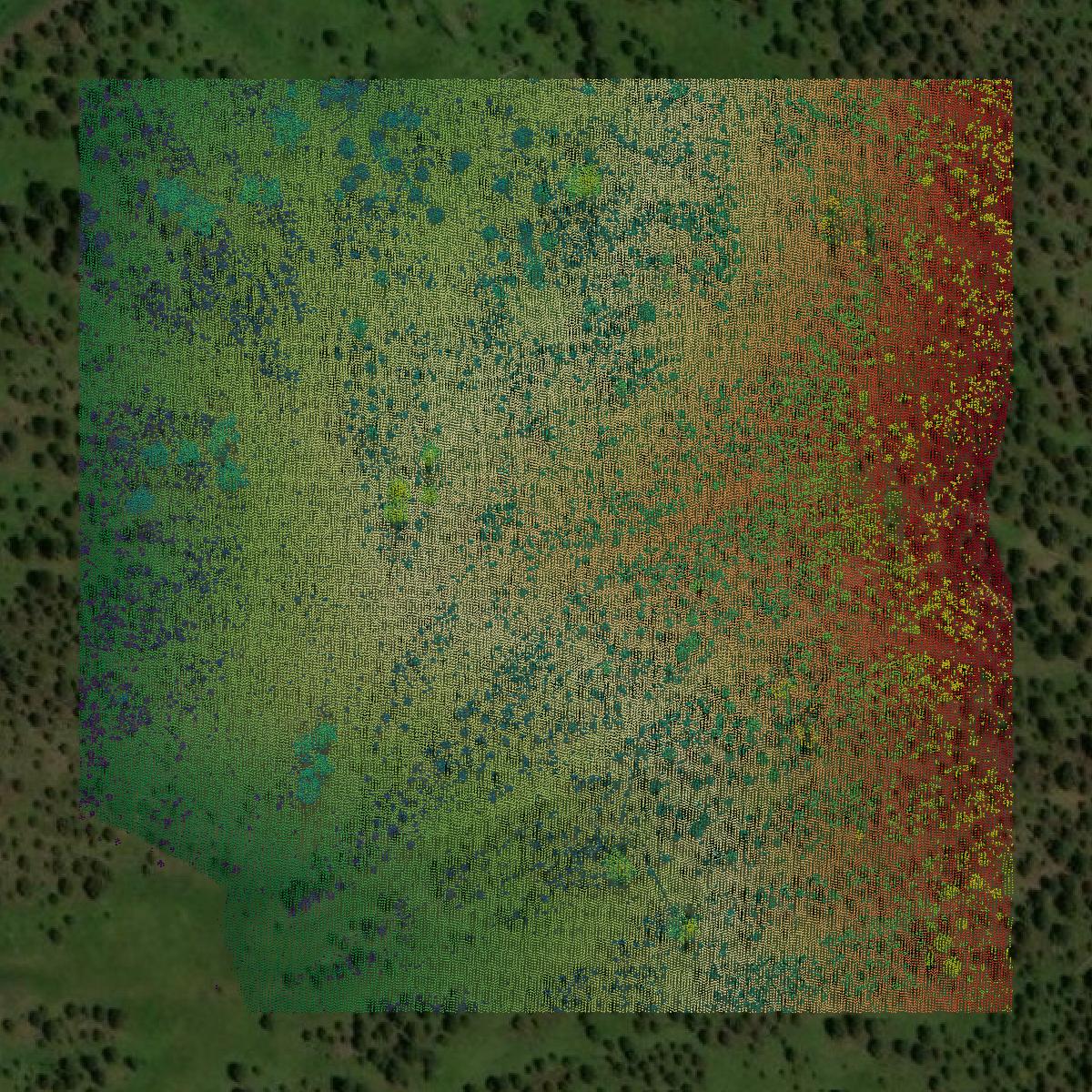 This image shows a LiDAR point cloud in Lawrence County created using GIS data in Equator.