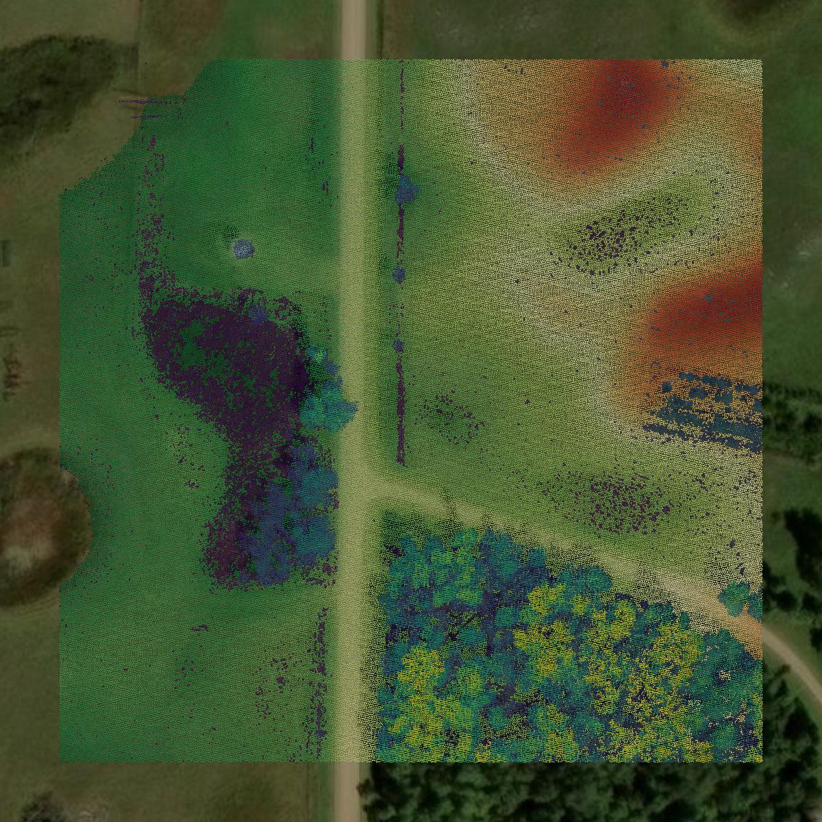 This image shows a LiDAR point cloud in Marshall County created using GIS data in Equator.
