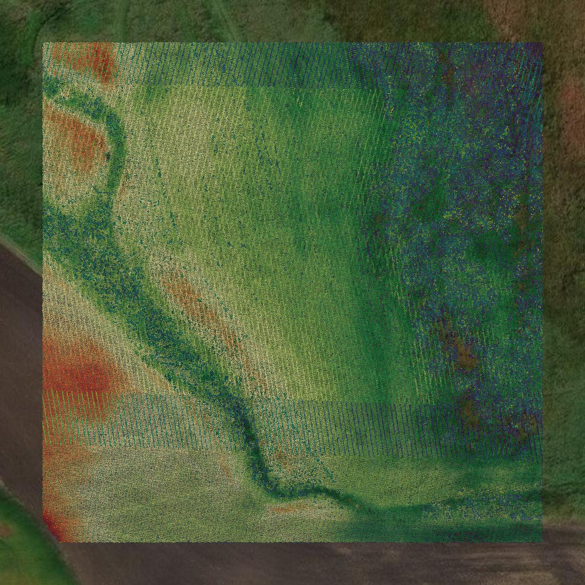 This image shows a LiDAR point cloud in McCook County created using GIS data in Equator.