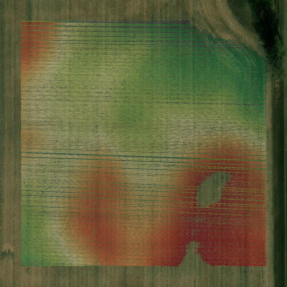 This image shows a LiDAR point cloud in McPherson County created using GIS data in Equator.