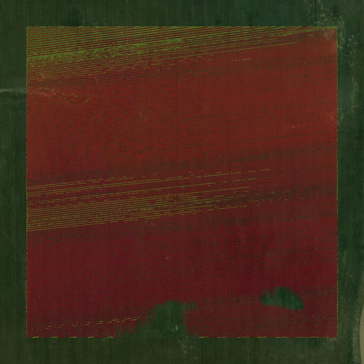 This image shows a LiDAR point cloud in Moody County created using GIS data in Equator.