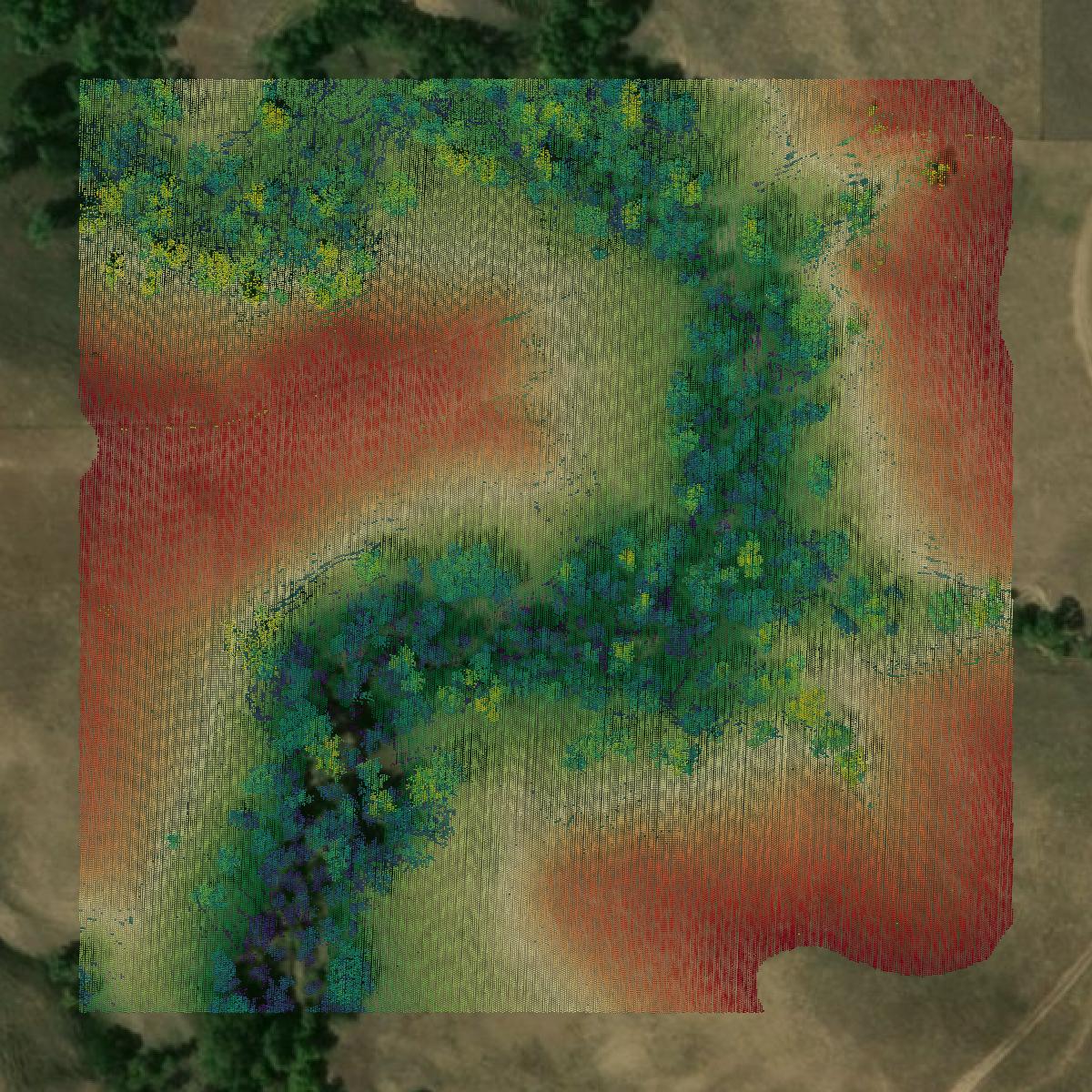 This image shows a LiDAR point cloud in Pennington County created using GIS data in Equator.