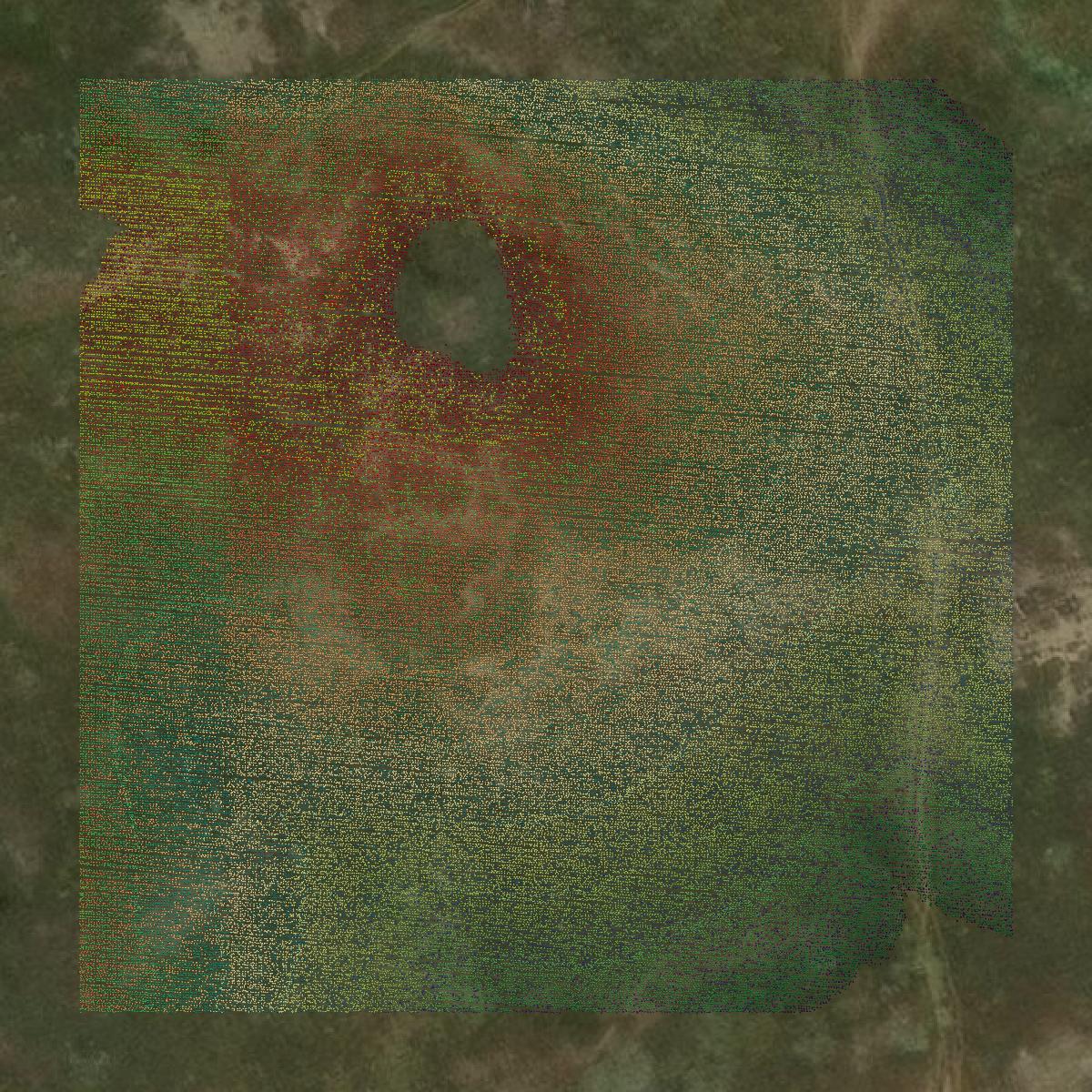 This image shows a LiDAR point cloud in Perkins County created using GIS data in Equator.