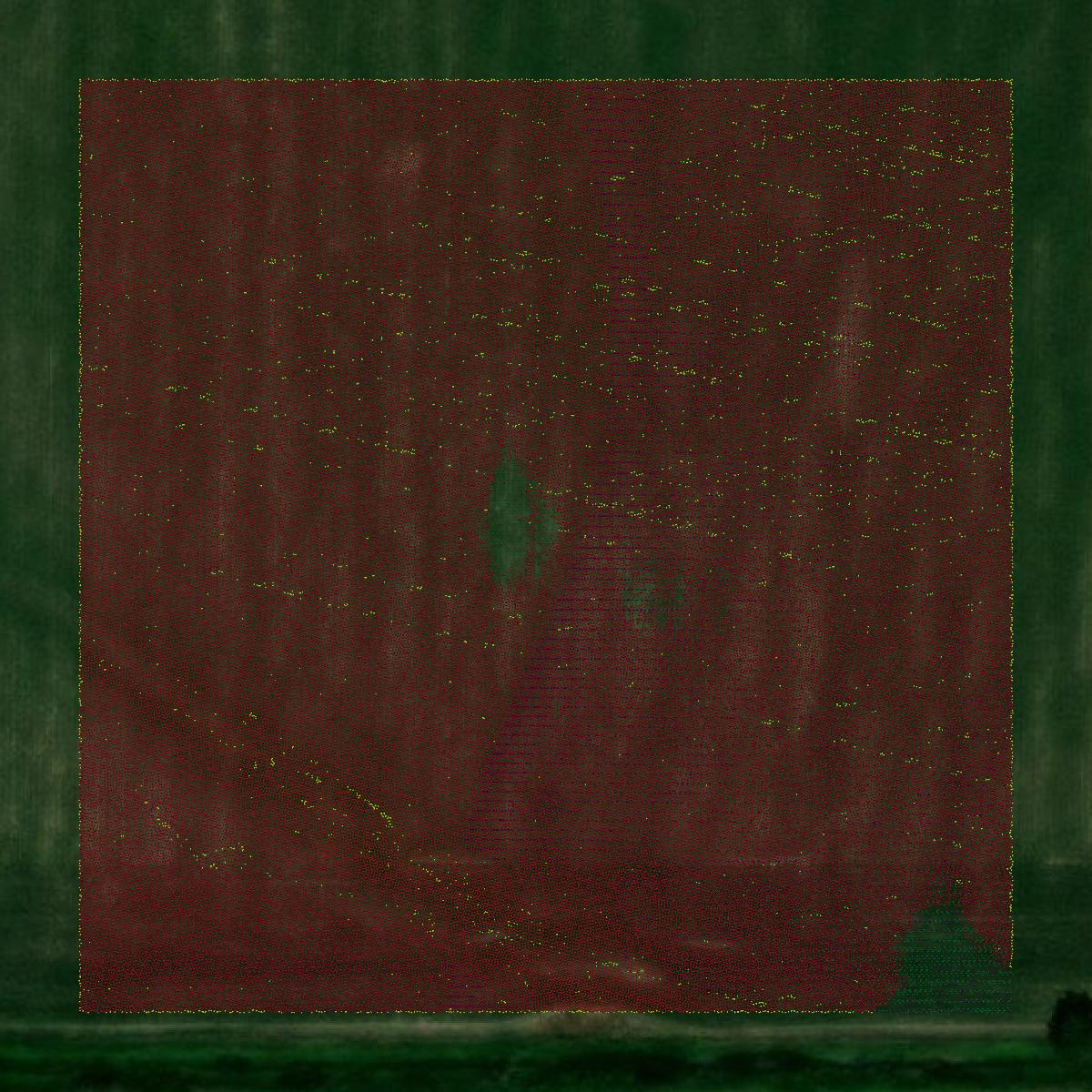 This image shows a LiDAR point cloud in Spink County created using GIS data in Equator.