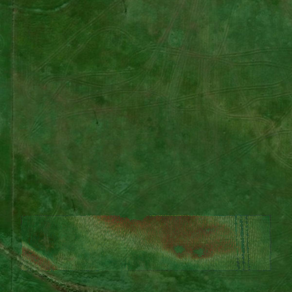 This image shows a LiDAR point cloud in Todd County created using GIS data in Equator.
