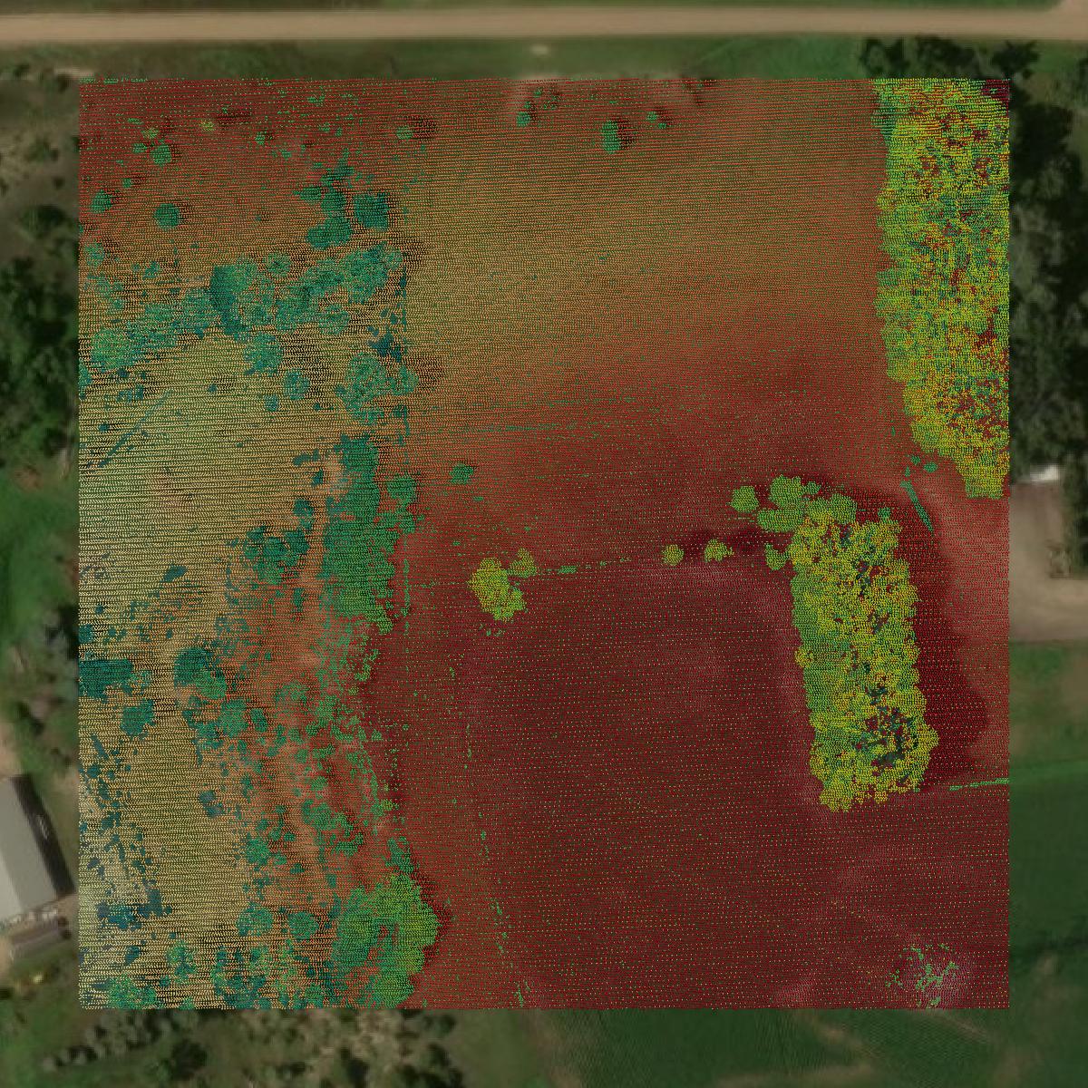 This image shows a LiDAR point cloud in Union County created using GIS data in Equator.