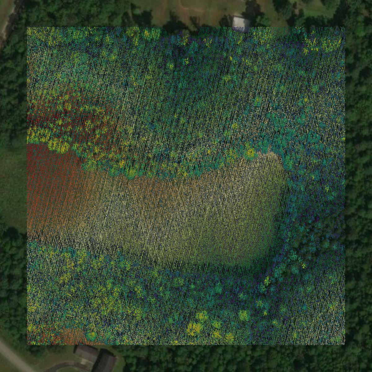 This image shows a LiDAR point cloud in Benton County created using GIS data in Equator.