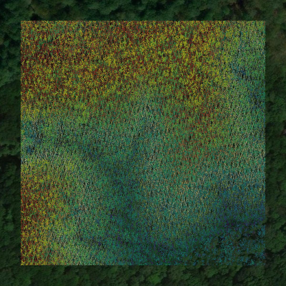 This image shows a LiDAR point cloud in Benton County created using GIS data in Equator.