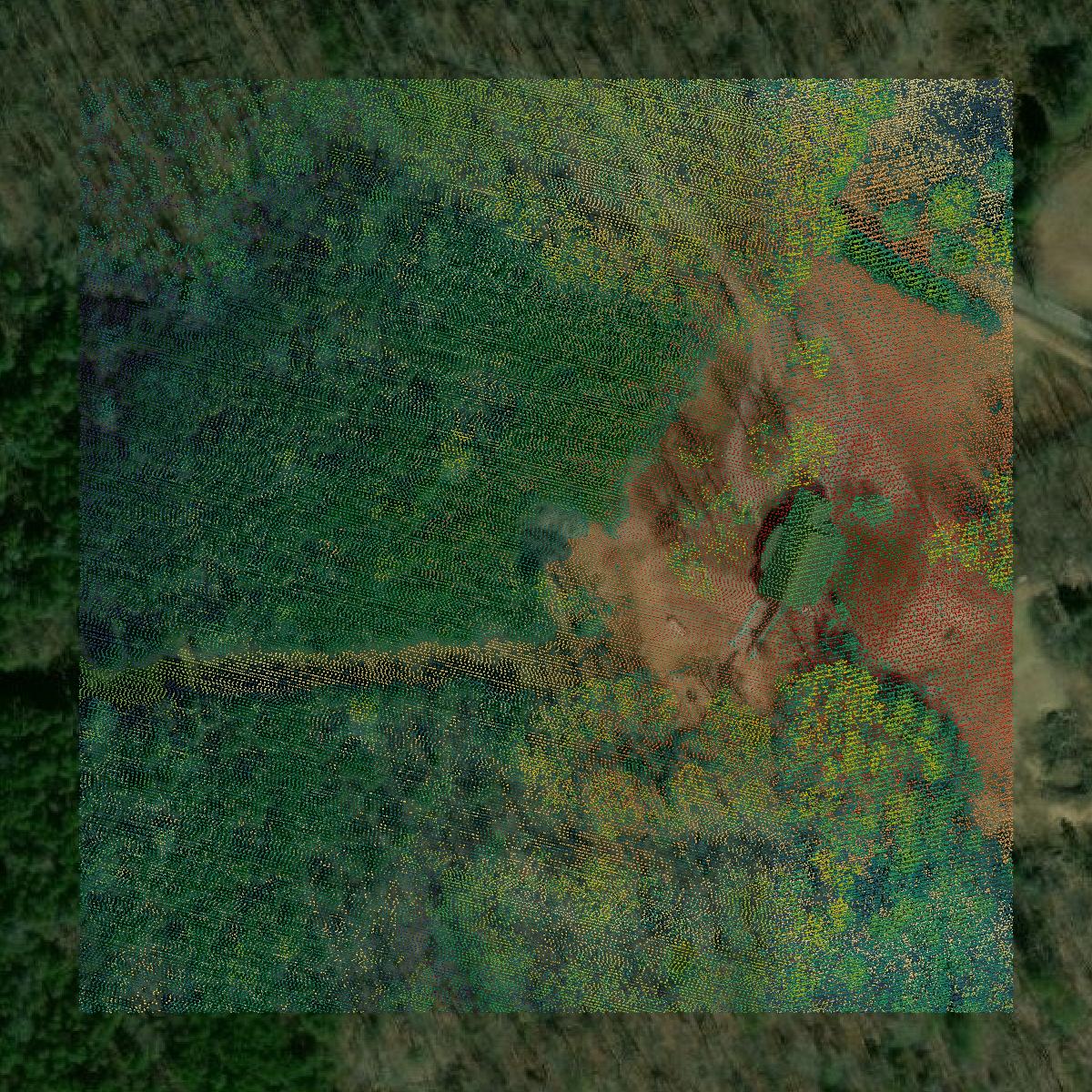This image shows a LiDAR point cloud in Bledsoe County created using GIS data in Equator.