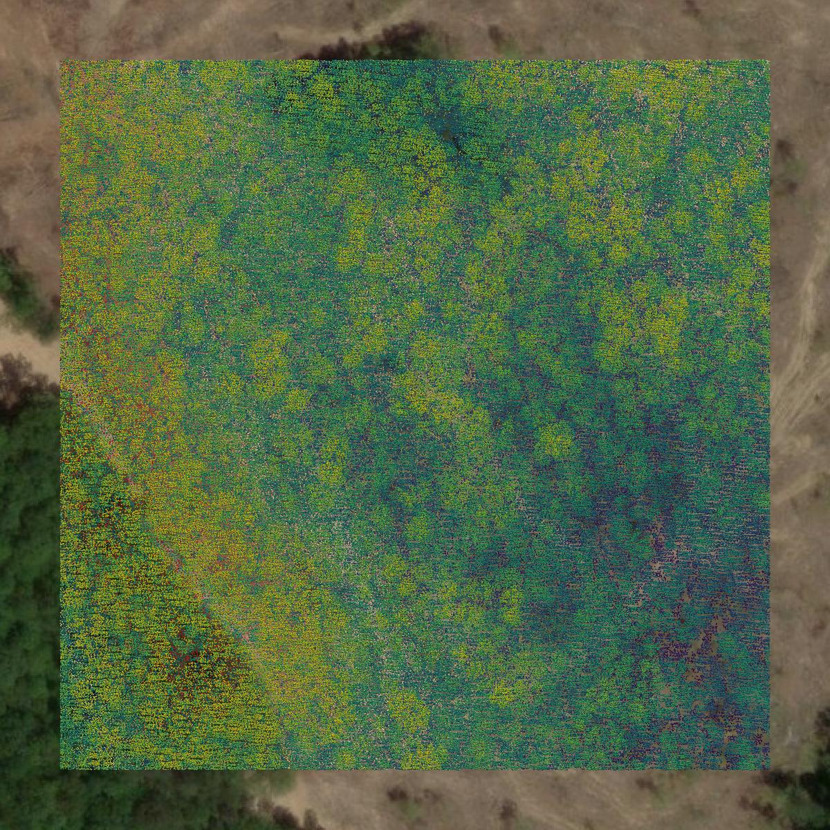 This image shows a LiDAR point cloud in Bledsoe County created using GIS data in Equator.