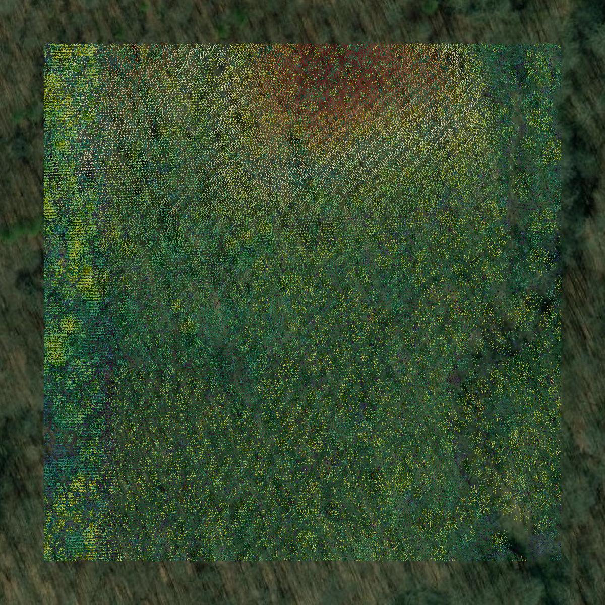 This image shows a LiDAR point cloud in Bradley County created using GIS data in Equator.