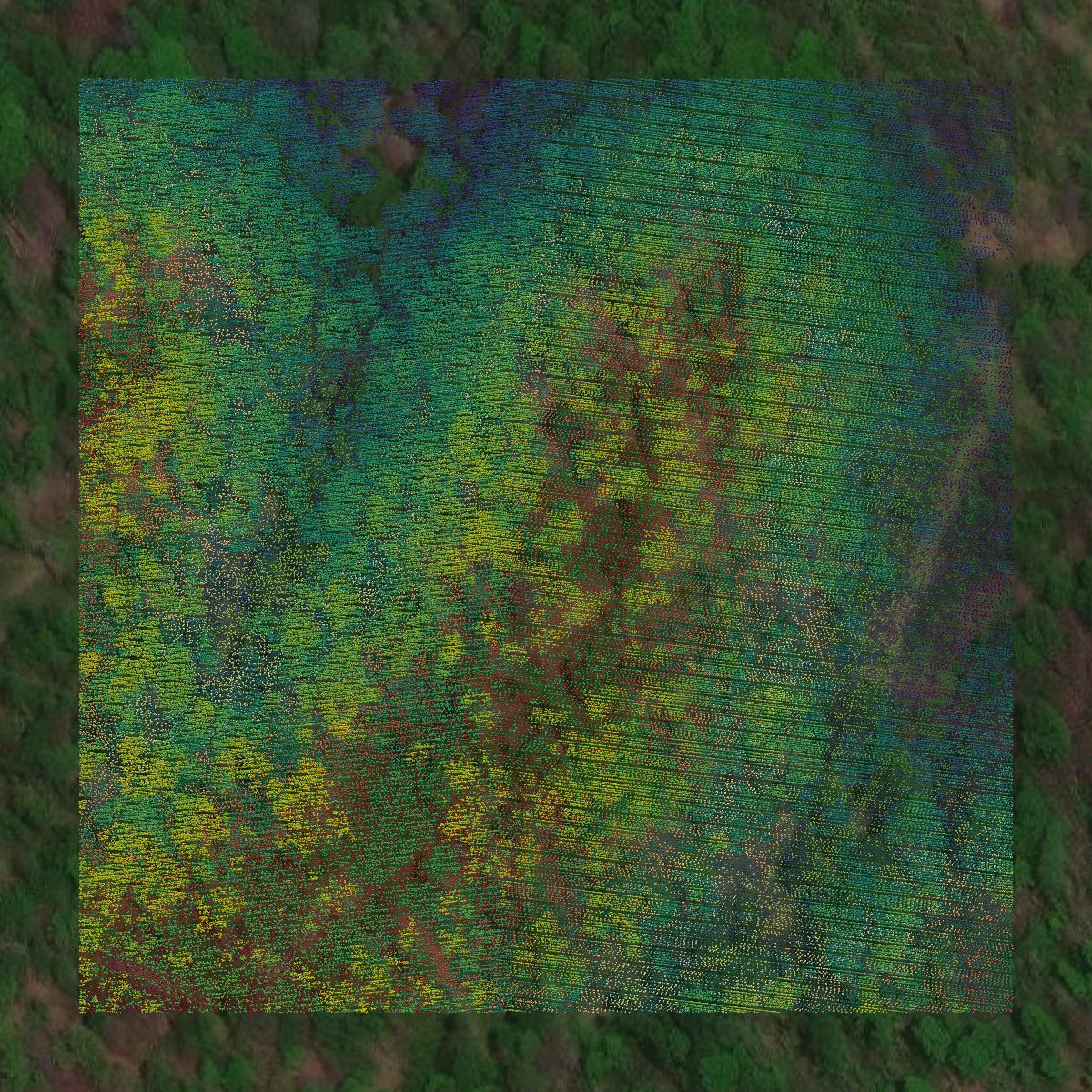 This image shows a LiDAR point cloud in Cannon County created using GIS data in Equator.