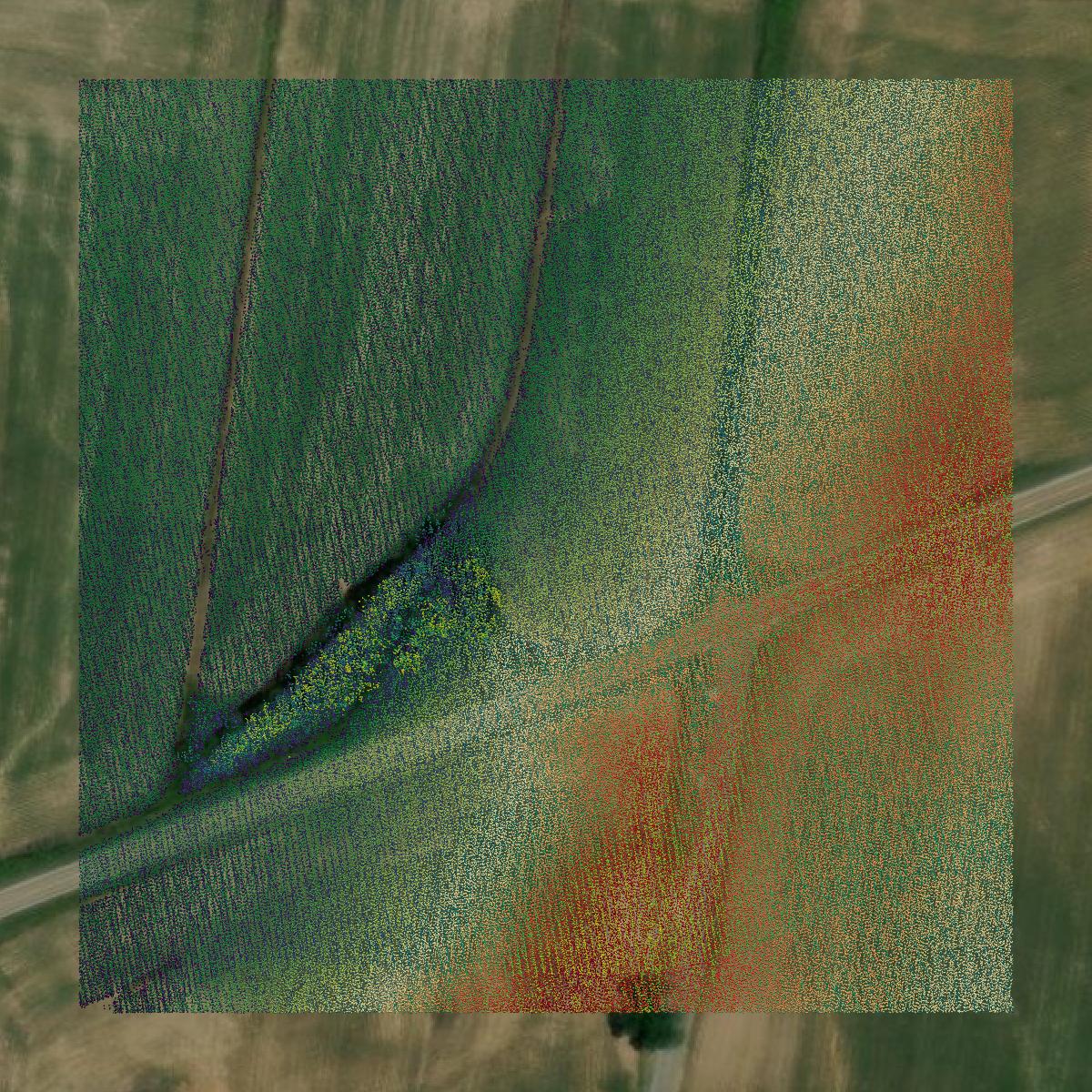 This image shows a LiDAR point cloud in Carroll County created using GIS data in Equator.