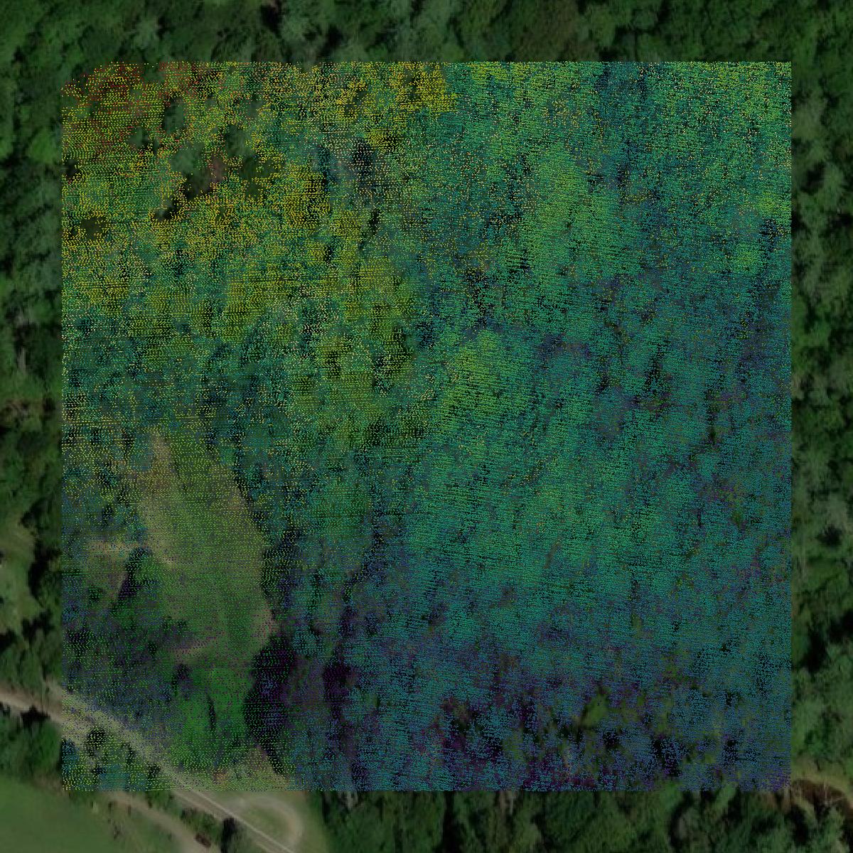 This image shows a LiDAR point cloud in Carter County created using GIS data in Equator.
