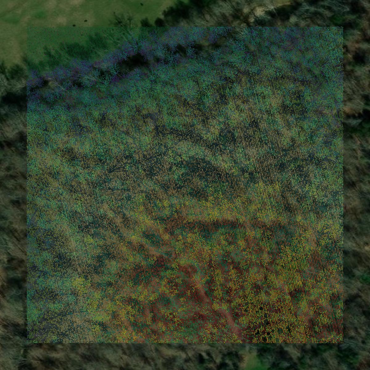 This image shows a LiDAR point cloud in Cheatham County created using GIS data in Equator.