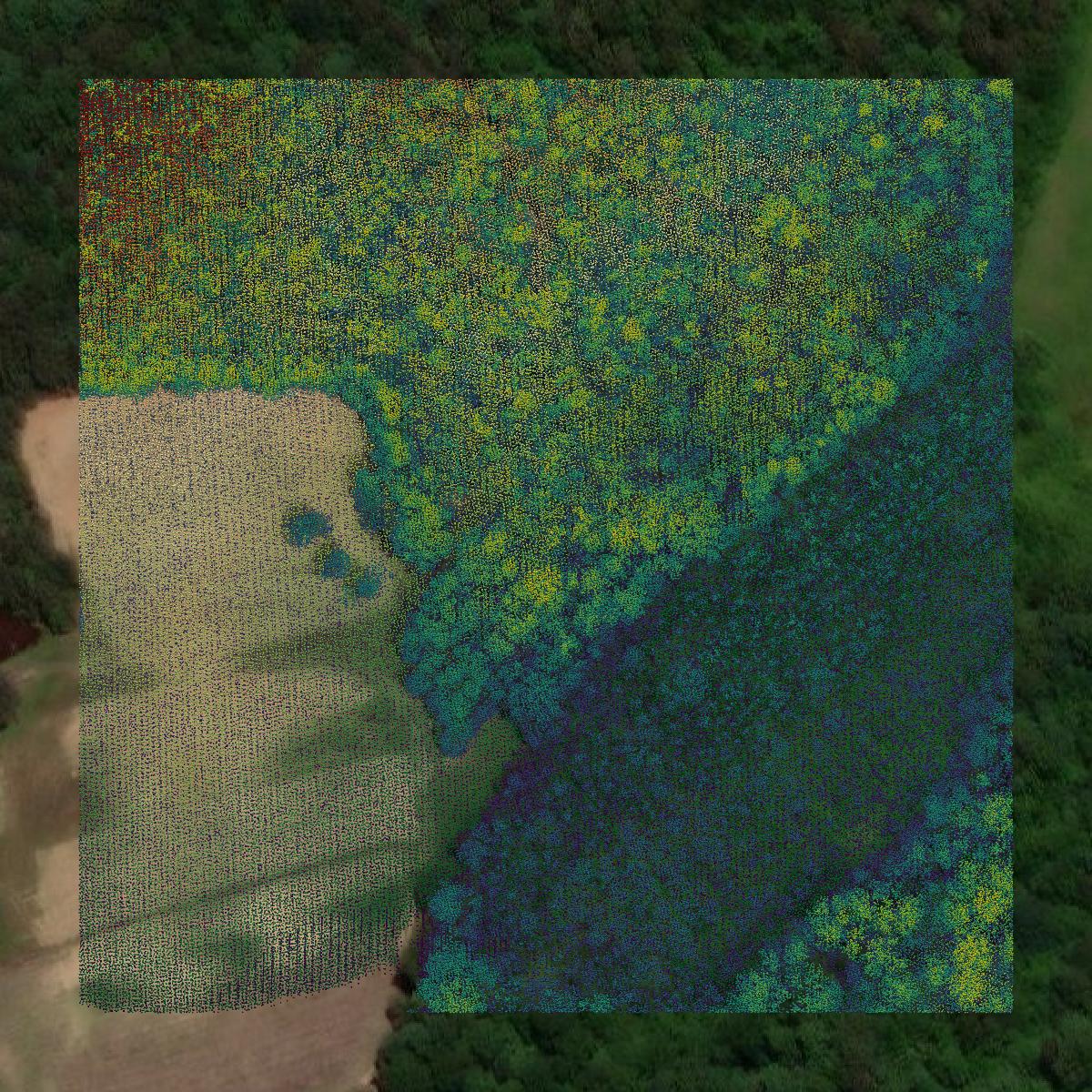 This image shows a LiDAR point cloud in Chester County created using GIS data in Equator.