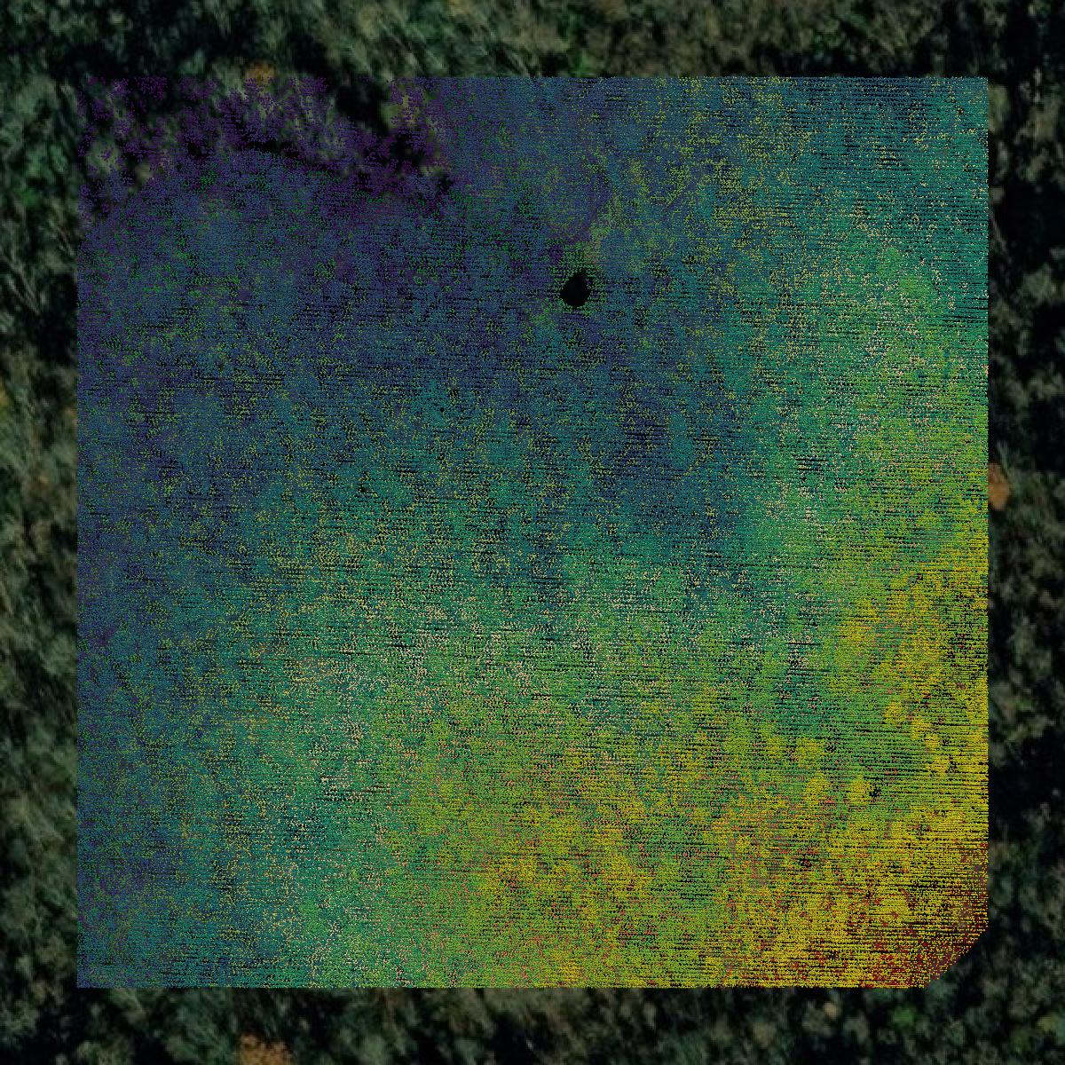 This image shows a LiDAR point cloud in Claiborne County created using GIS data in Equator.