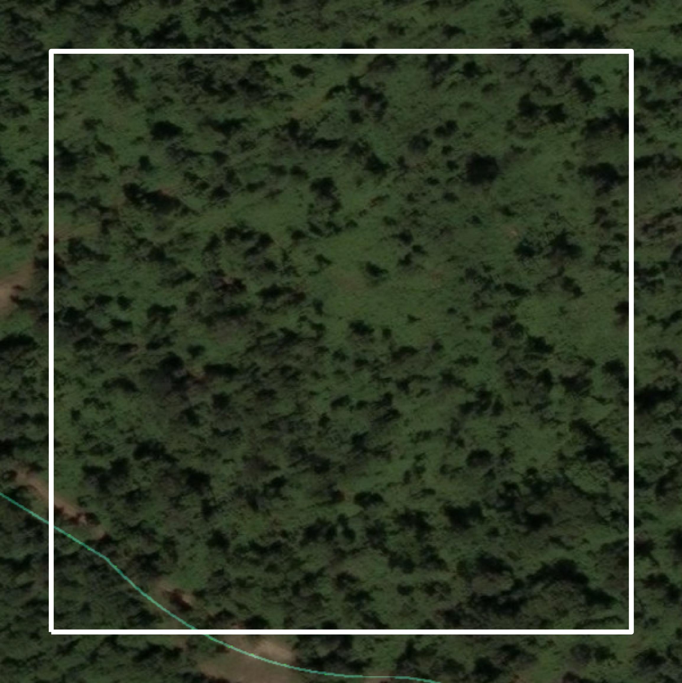 This image shows parcel and building data in Clay County created using GIS data in Equator.