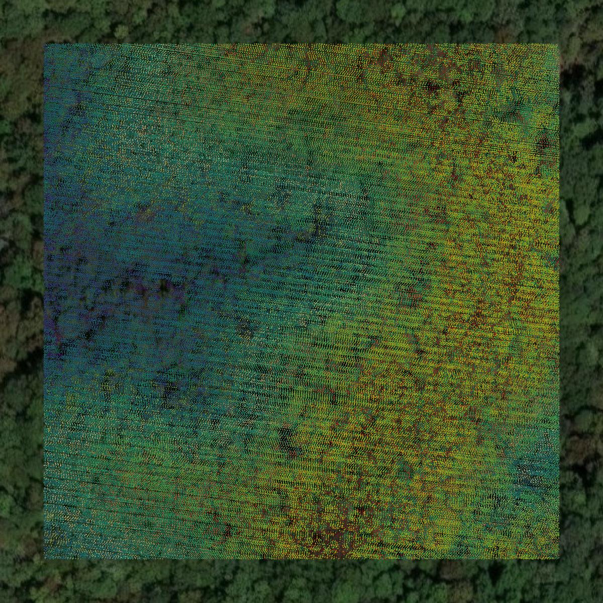 This image shows a LiDAR point cloud in Clay County created using GIS data in Equator.