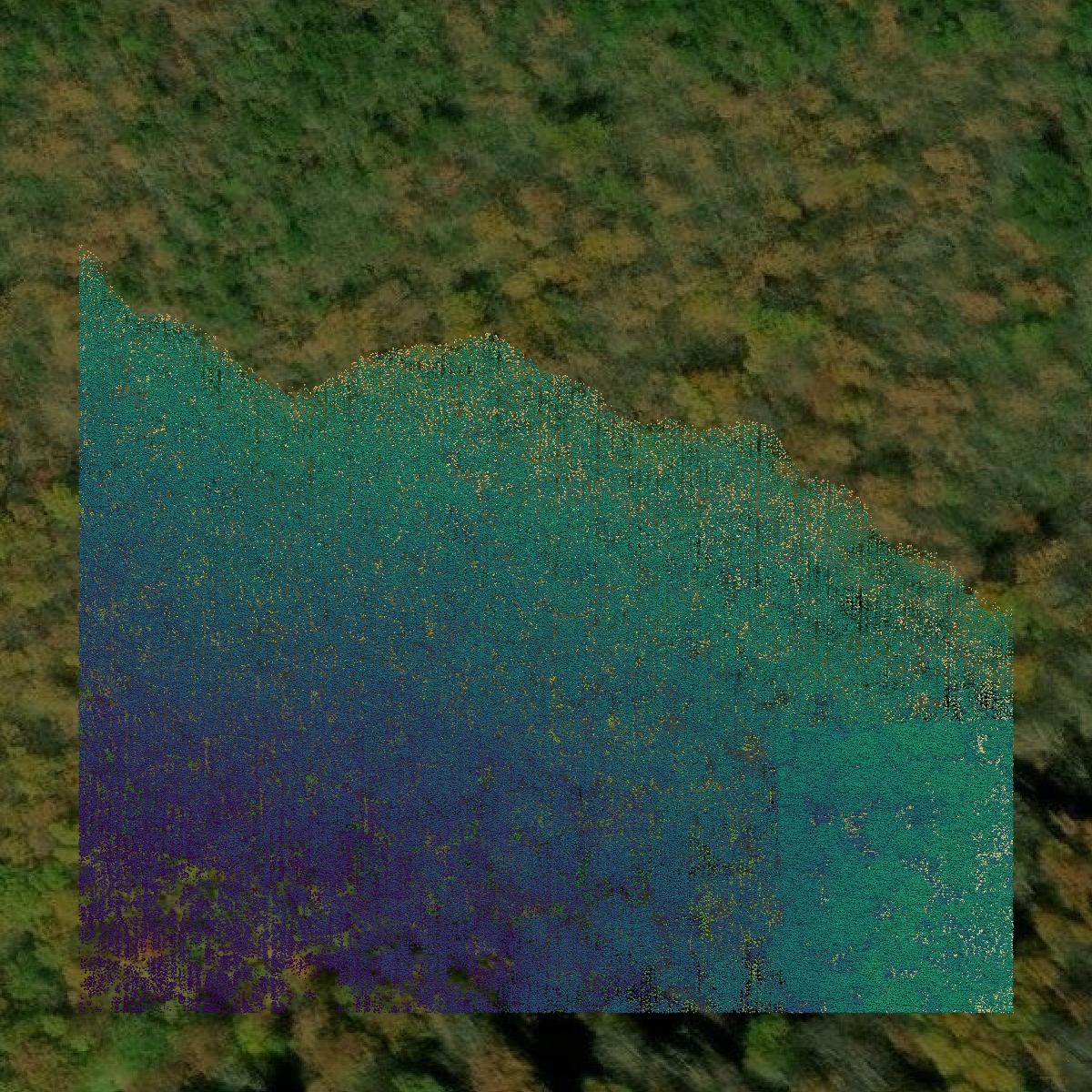 This image shows a LiDAR point cloud in Cocke County created using GIS data in Equator.