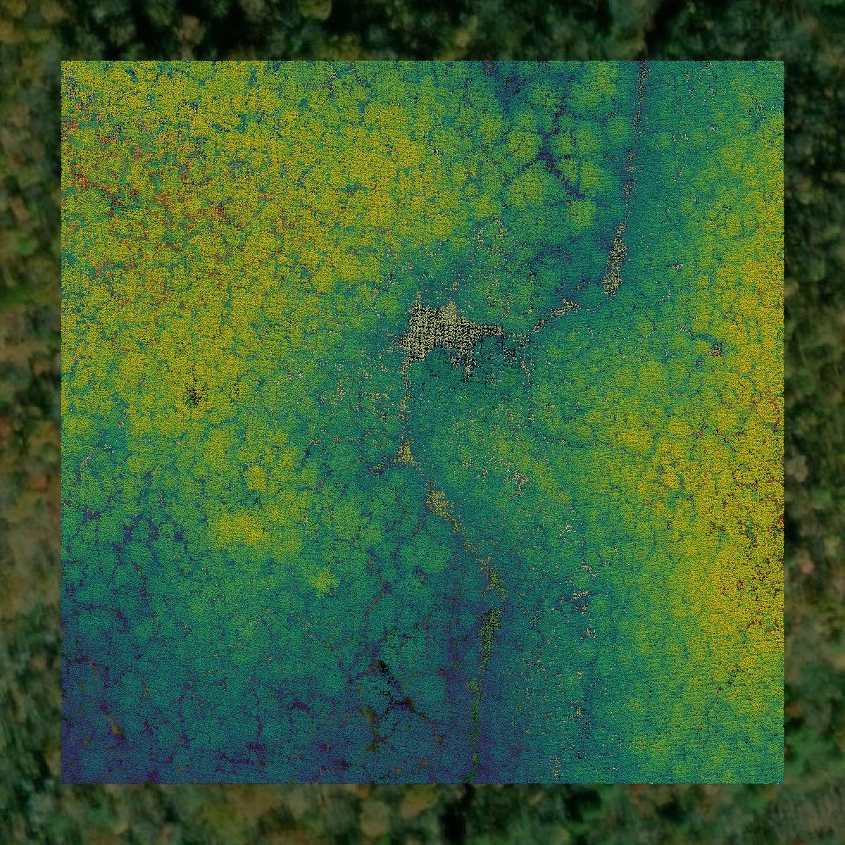 This image shows a LiDAR point cloud in Cocke County created using GIS data in Equator.