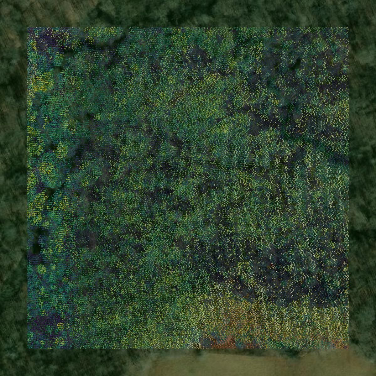 This image shows a LiDAR point cloud in Coffee County created using GIS data in Equator.